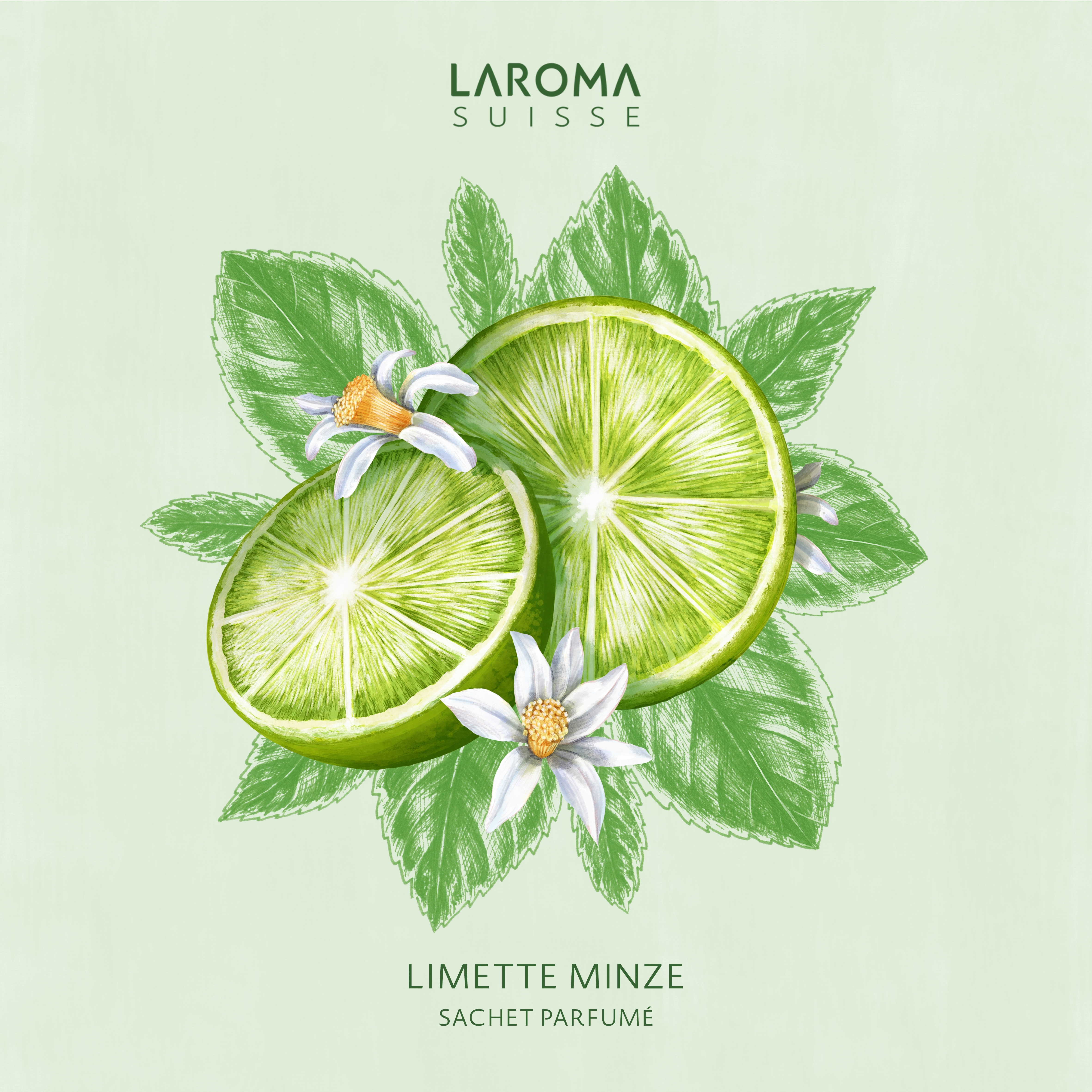 Limette Minze Duftsachet Suisse LAROMA SUISSE 12x12cm