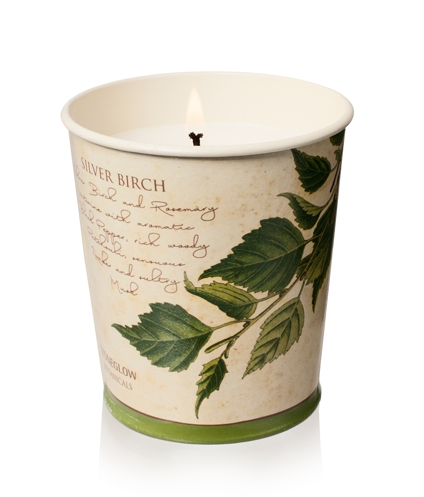 Silver Birch Duftkerze Metallpot